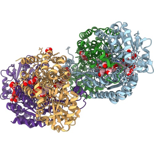 9PXH image