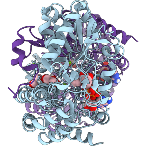 9PXQ image