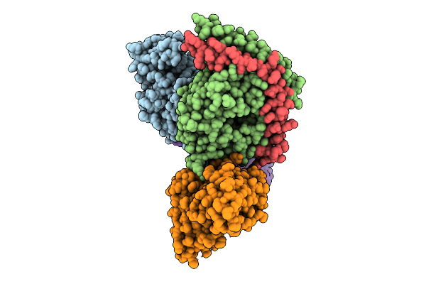 9PXV image