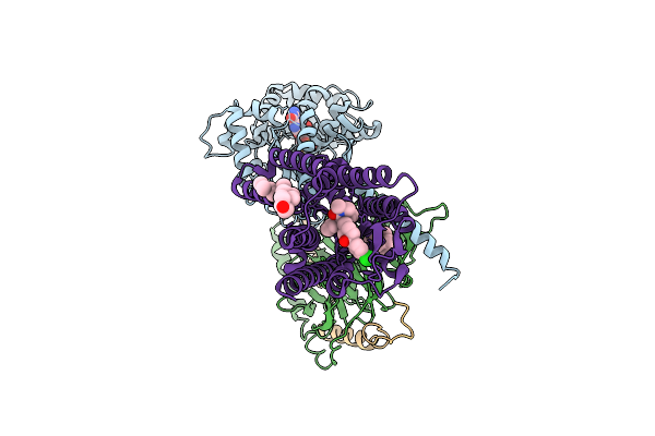 9PY2 image