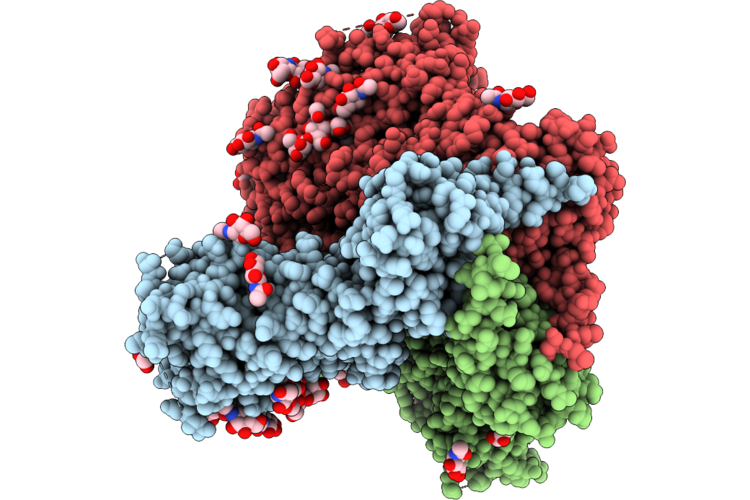 9PYD image