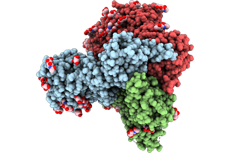 9PYH image