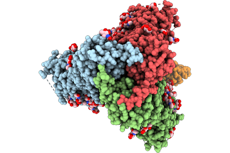 9PYK image