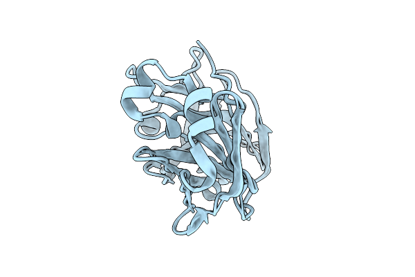 9PYT image