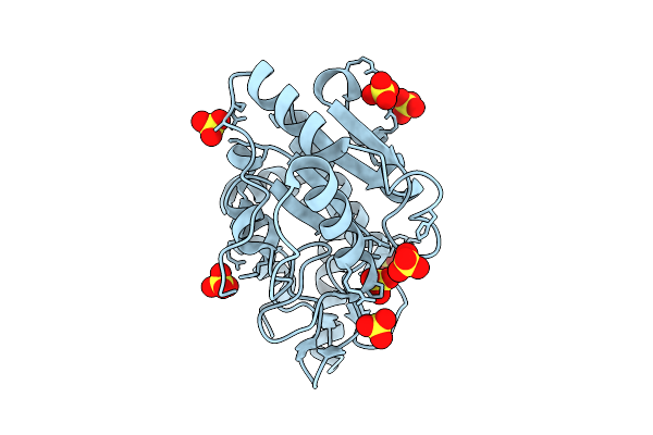 9PYV image