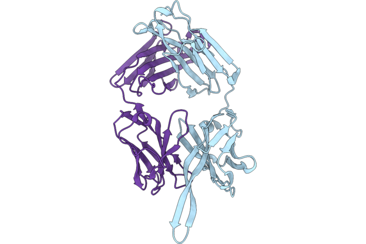 9PZ2 image