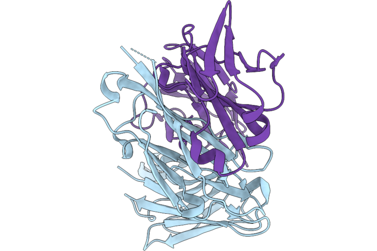 9PZ3 image
