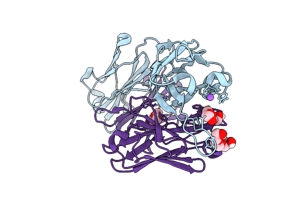 9PZ6 image