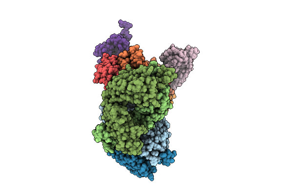 9PZI image