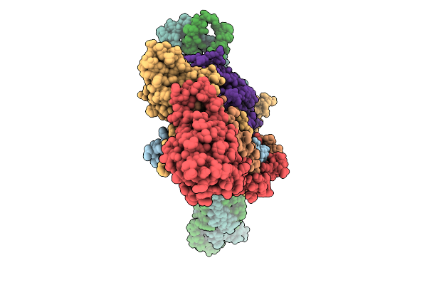9PZM image