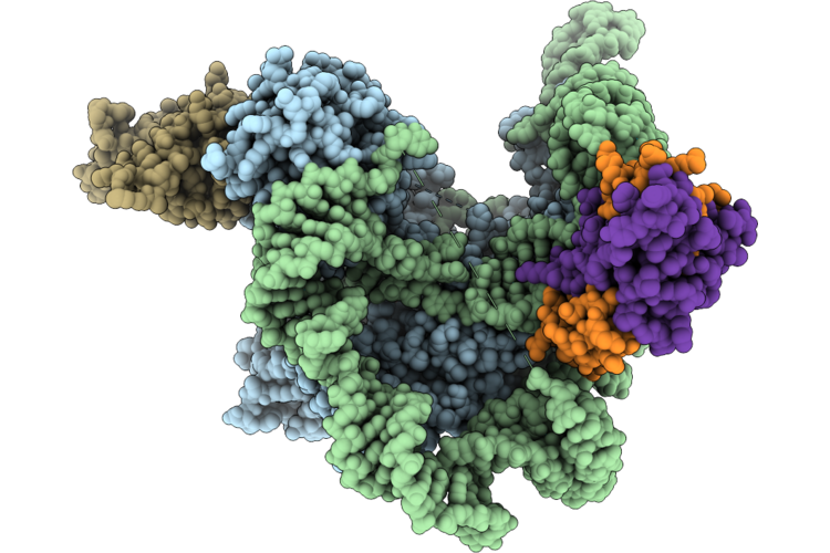 9Q11 image