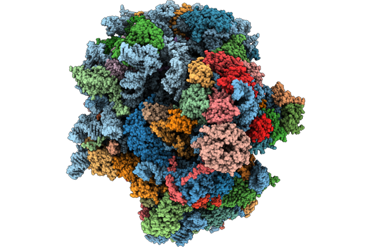 9Q1Q image