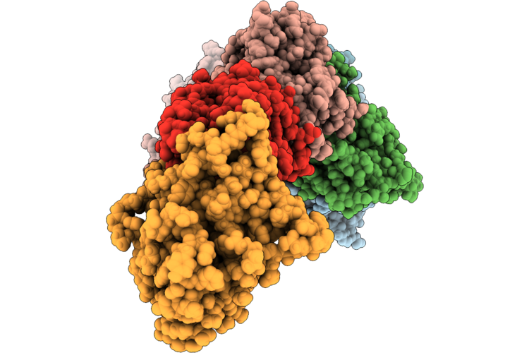 9Q2C image