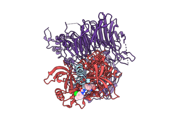 9Q2D image