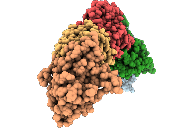 9Q2E image