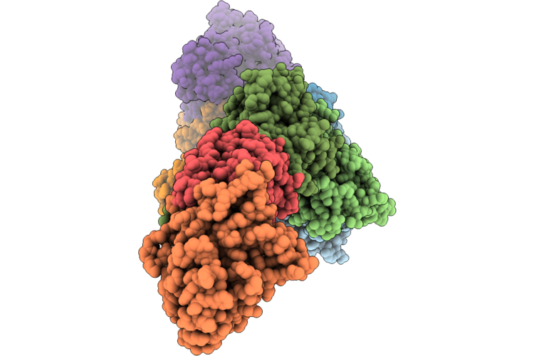 9Q2I image