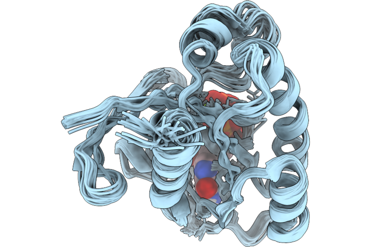 9Q2X image