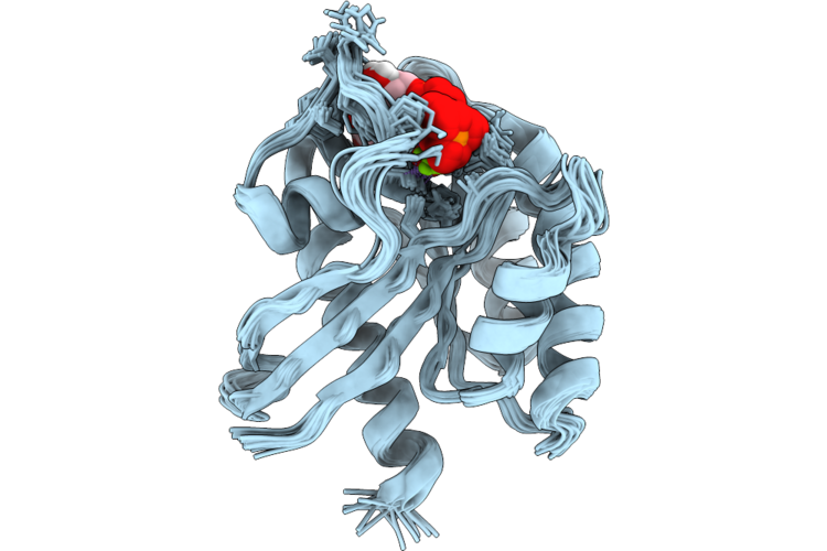 9Q2Z image