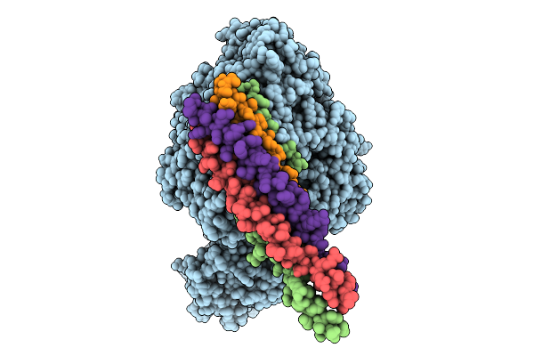 9Q3A image