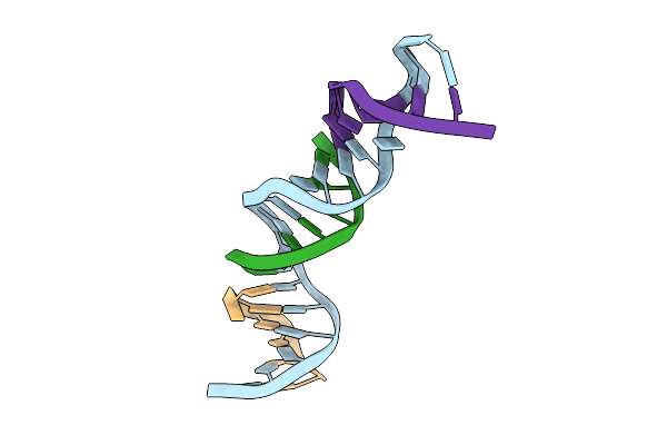 9Q3D image