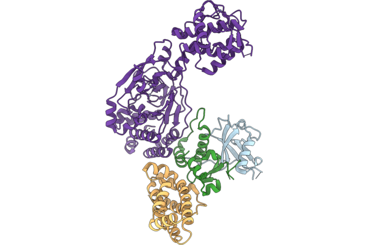 9Q3E image