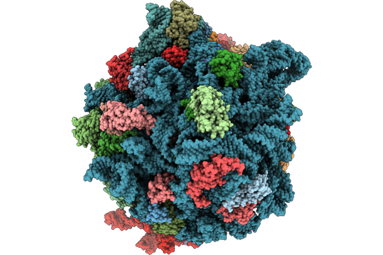 9Q3R image