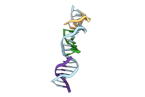 9Q3W image