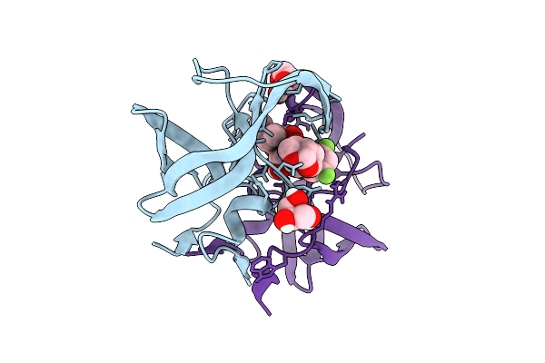 9Q5D image