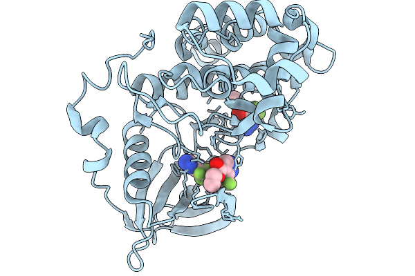 9Q8C image