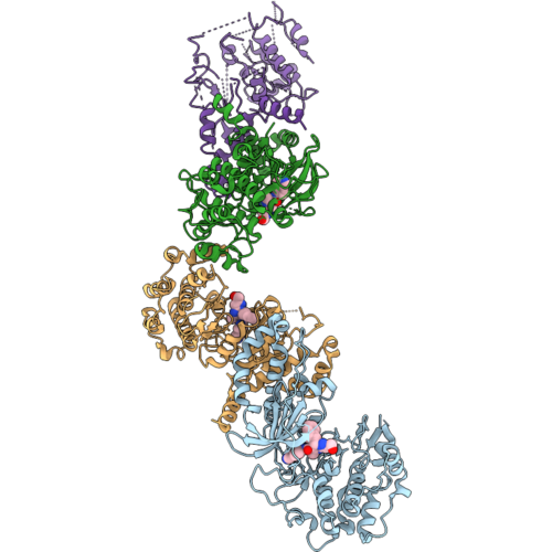 9Q8R image