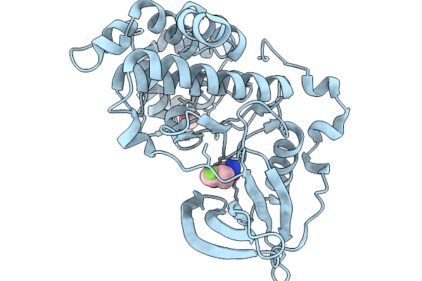 9Q9C image