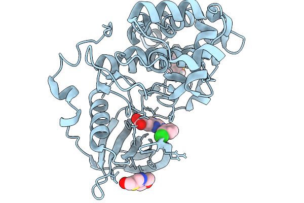 9QAB image