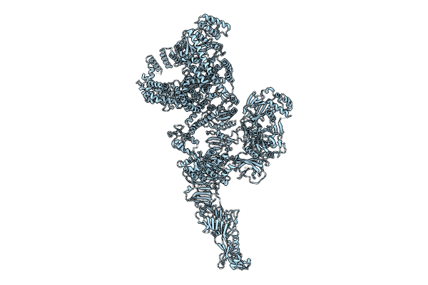9QBB image