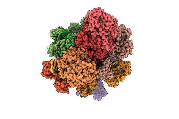 9QCC image
