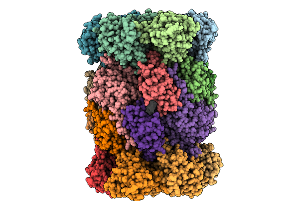 9QCF image