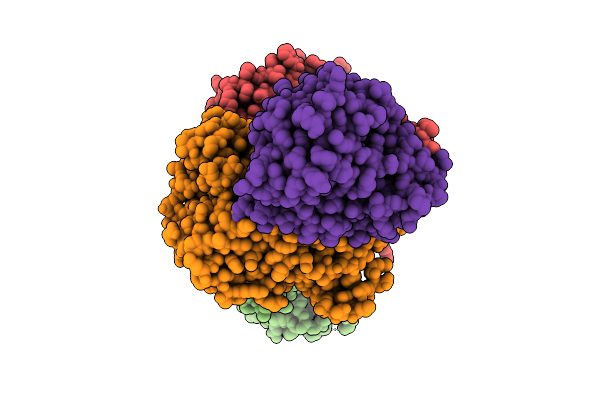 9QCV image