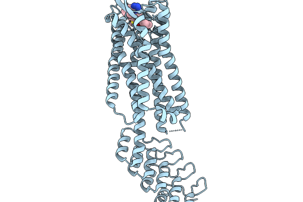 9QD4 image
