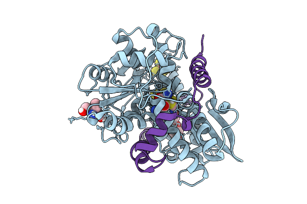 9QD6 image