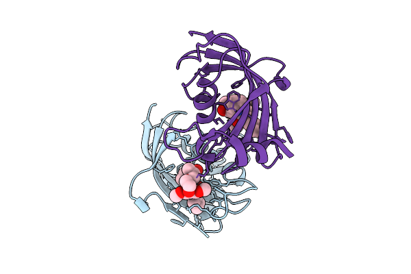 9QD8 image