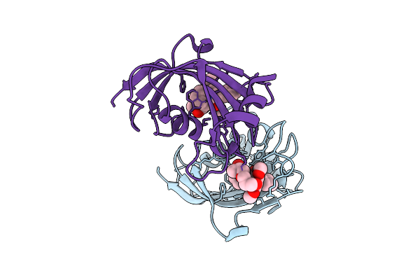 9QD9 image