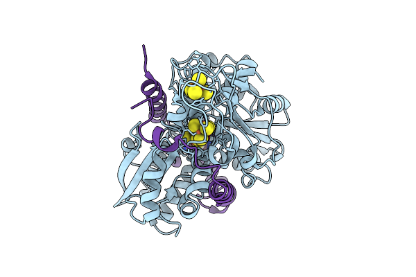 9QDC image