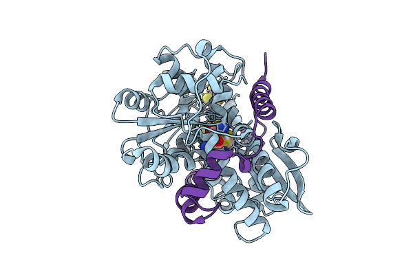 9QDD image