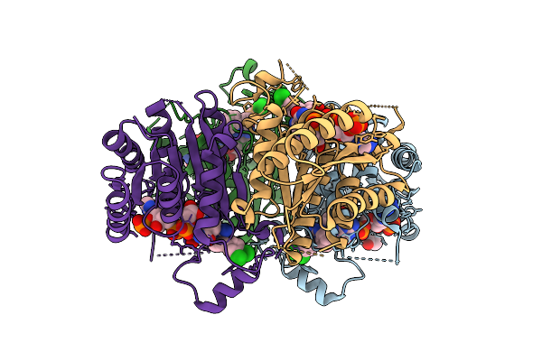 9QDK image