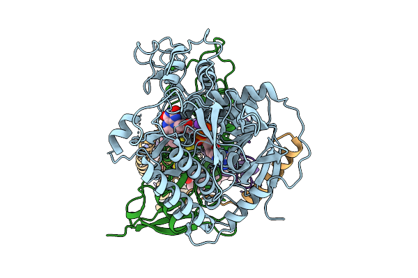 9QDL image
