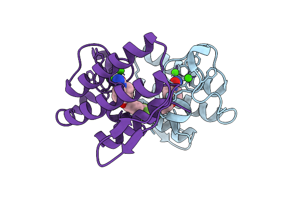 9QDW image