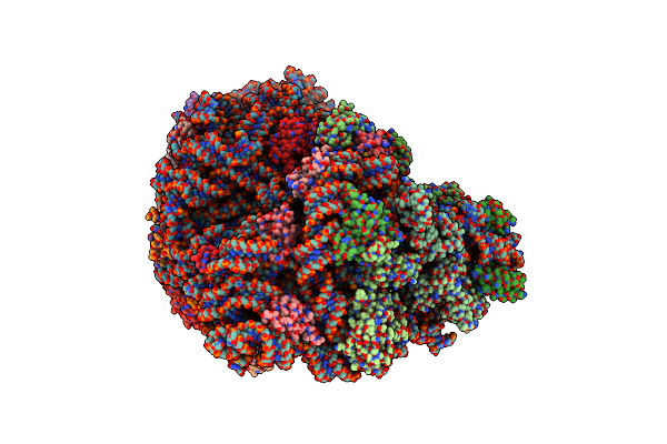 9QEG image
