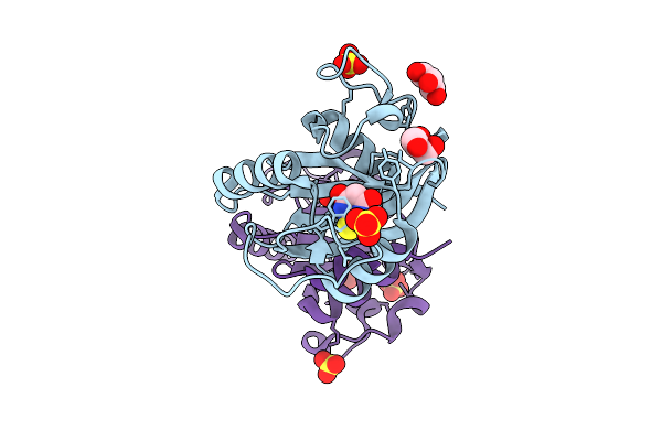 9QEM image
