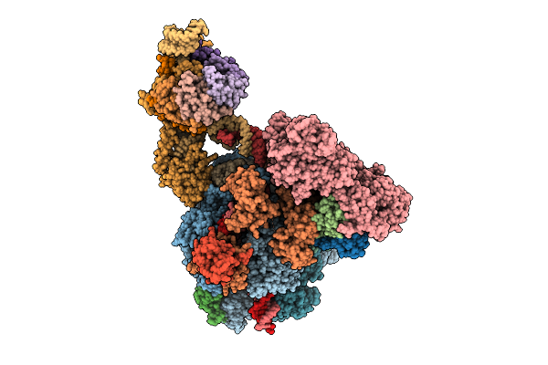 9QEQ image