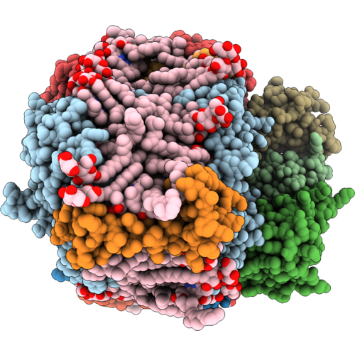 9QFP image