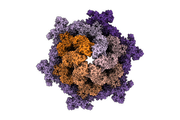 9QGL image
